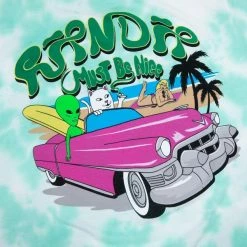 RIP N DIP Nermrider Beach T Shirt Mint Cloud Wash