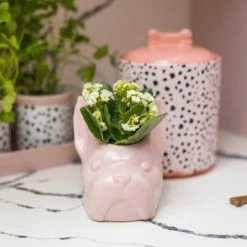 Eleanor Bowmer Eleanor Bowmer Frank Mini Planter- Pink