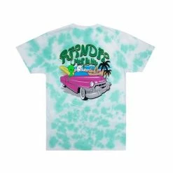 RIP N DIP Nermrider Beach T Shirt Mint Cloud Wash