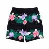RIP N DIP Pablo Swim Shorts Black