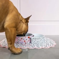 Eleanor Bowmer Miami Shells Half Moon Pet Bowl (Set of 2)