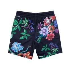 RIP N DIP Green House Sweatshorts Black