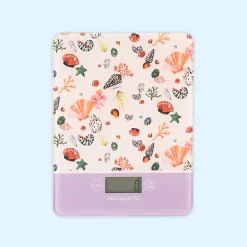 Eleanor Bowmer Scales - Shells