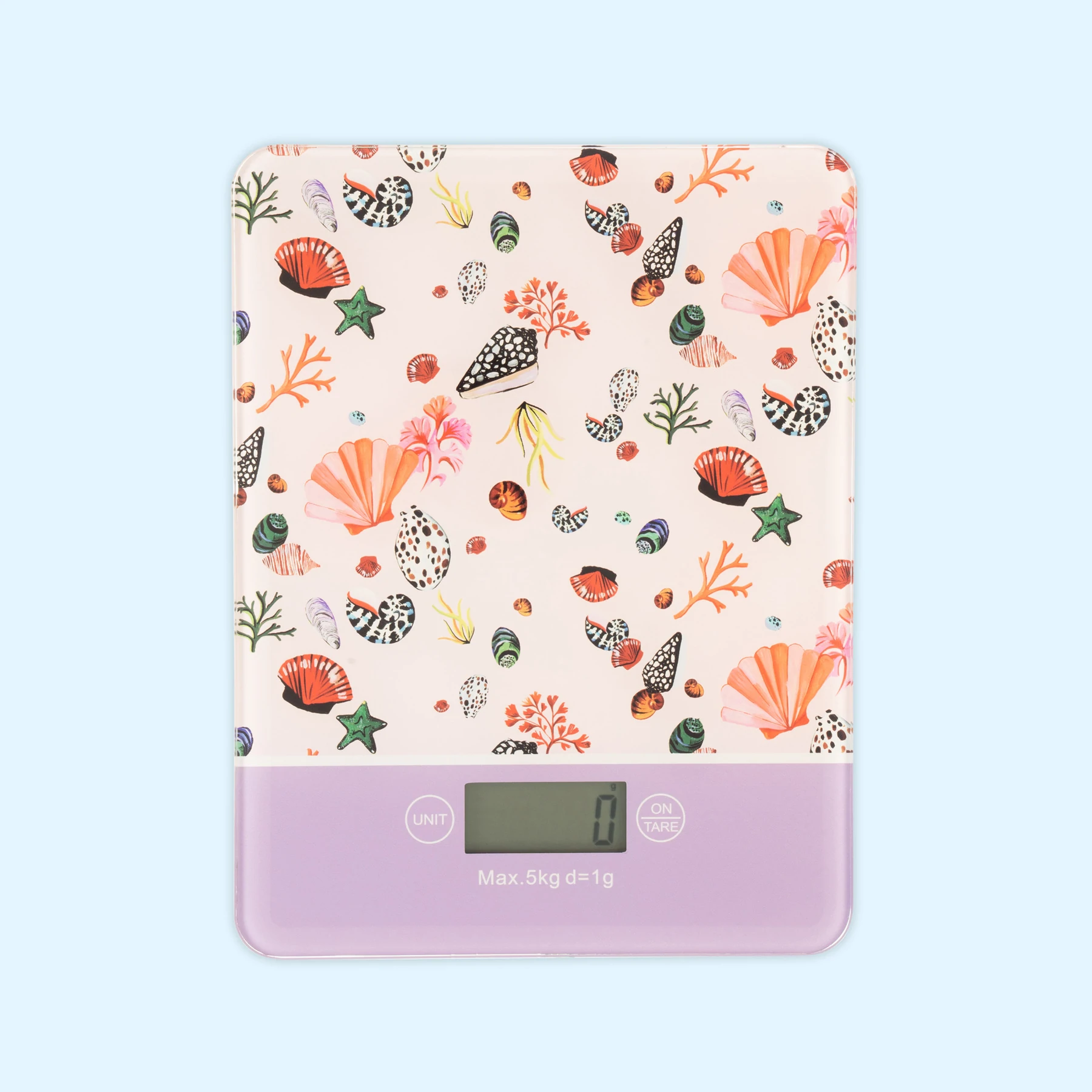 Eleanor Bowmer Scales - Shells